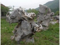 巧奪天工的自然韻律 探索太湖石的獨(dú)特魅力與園藝應(yīng)用