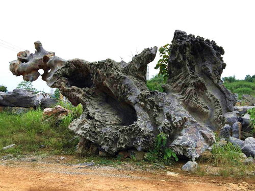 長(zhǎng)沙園林黃蠟石與景觀石資源探秘