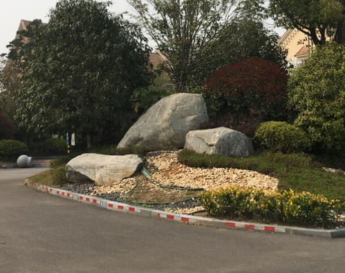 生態(tài)與藝術(shù)交融 探訪武漢20000平方米景觀石基地的門牌石典范