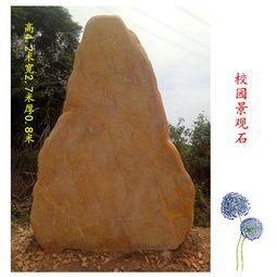探尋大型黃蠟石原石市場(chǎng) 廣東園林景觀石圖鑒