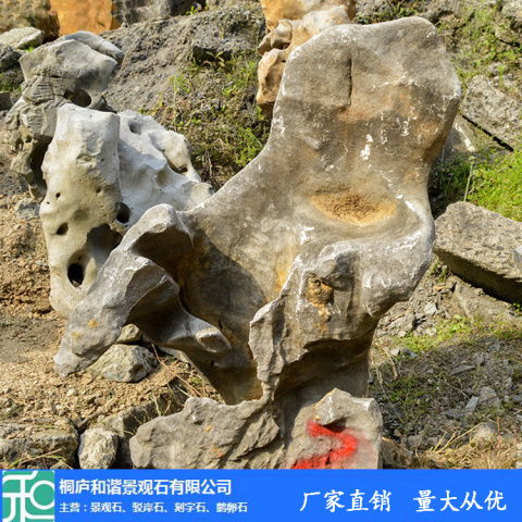 正宗太湖石價(jià)格 太湖石 和諧景觀石 查看